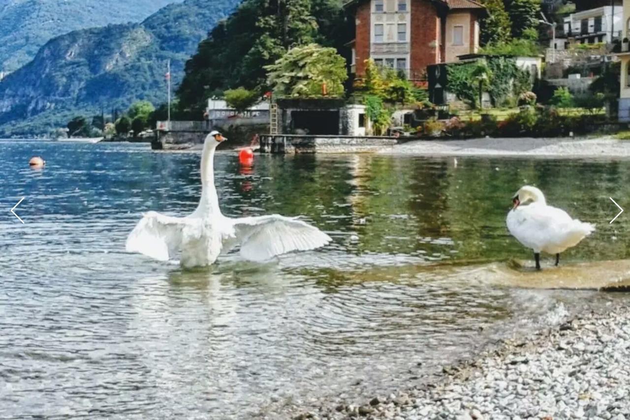 Le Grigne Guest House Oliveto Lario Kültér fotó