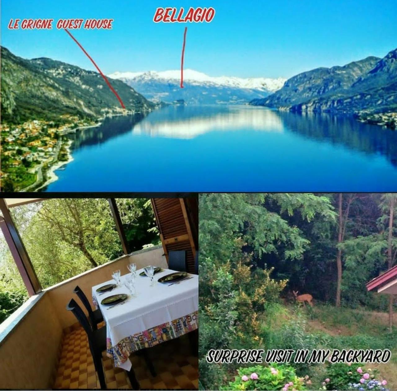 Le Grigne Guest House Oliveto Lario Kültér fotó